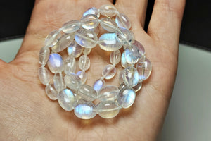 Moonstone - Blue Flash  EO+ oval 18.5inch