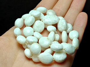Scolecite EO 7x8.5-13x15.5mm 21.5inch