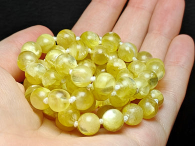 Lepidolite - Golden Mica EO+ 8+mm 26.25inch
