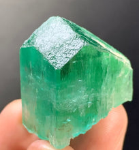 Load image into Gallery viewer, Kunzite - Green Essence