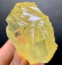 Load image into Gallery viewer, Kunzite - Yellow Essence