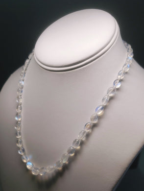 Moonstone - Blue Flash  EO+ oval 17.5inch