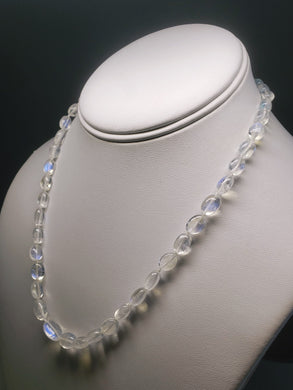 Moonstone - Blue Flash  EO+ oval 17.5inch