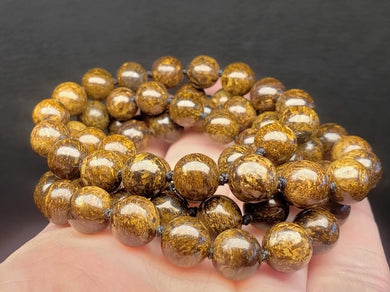 Bronzite EO++ 8+mm 25.5inch