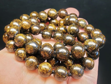 Bronzite EO++ 8+mm 24.5inch
