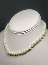 Load image into Gallery viewer, Mother of Pearl  EO 6.5mm 13-14.5inch adjustable Kid&#39;s Necklace