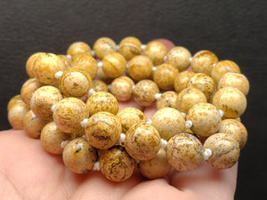 Picture Jasper EO++ 8+mm 26inch