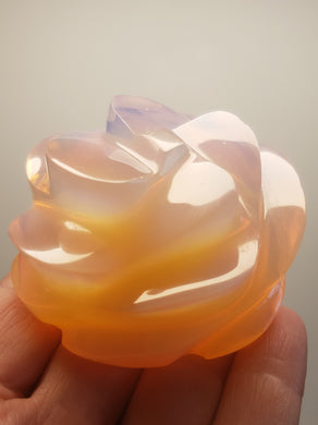 Opalesence - Pink Andara Crystal Rose