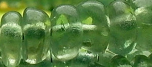 Alexandrite - Tools4transformation