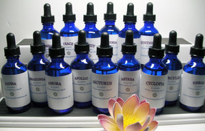 Elohim Hercules Essence