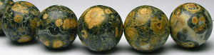 Jasper - Leopard - Tools4transformation