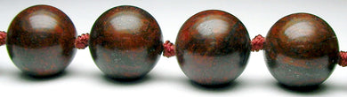 Jasper - Poppy - Tools4transformation