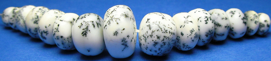 Opal - Dendrite - Tools4transformation