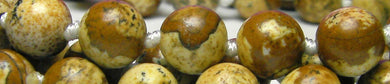 Jasper - Picture - Tools4transformation